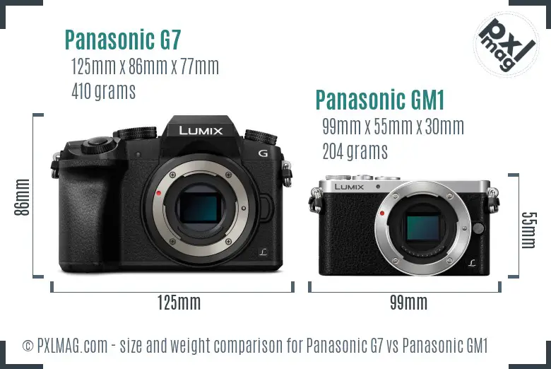Panasonic G7 vs Panasonic GM1 size comparison