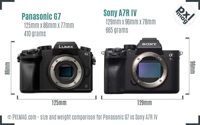 Panasonic G7 vs Sony A7R IV size comparison