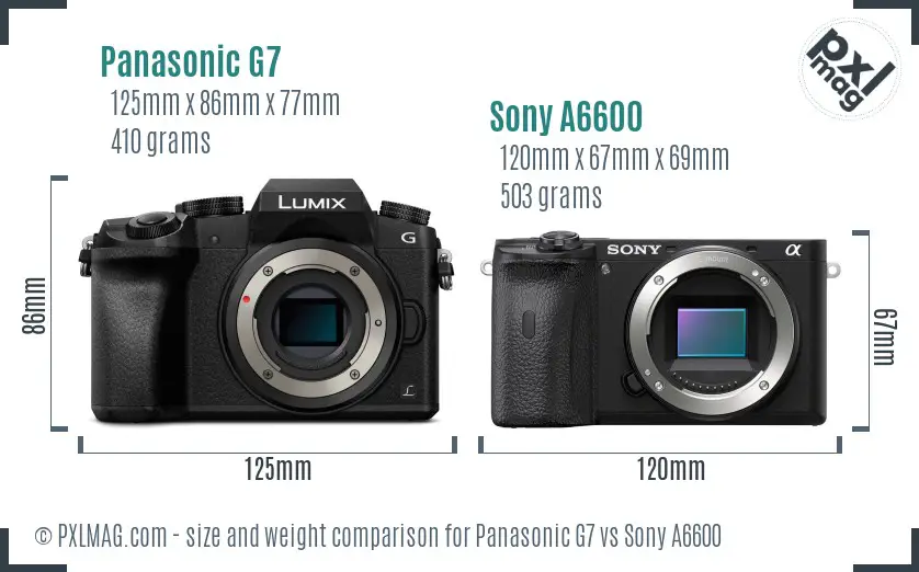 Panasonic G7 vs Sony A6600 size comparison