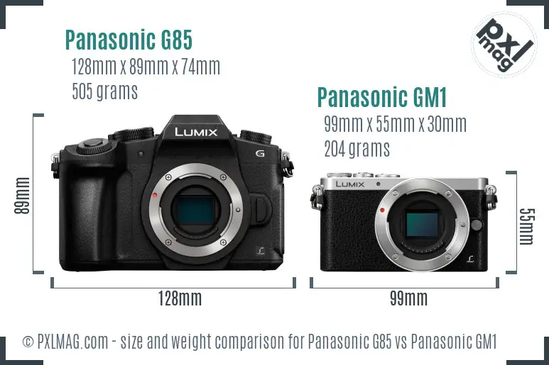 Panasonic G85 vs Panasonic GM1 size comparison