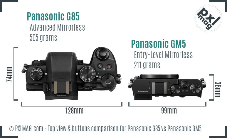Panasonic G85 vs Panasonic GM5 top view buttons comparison