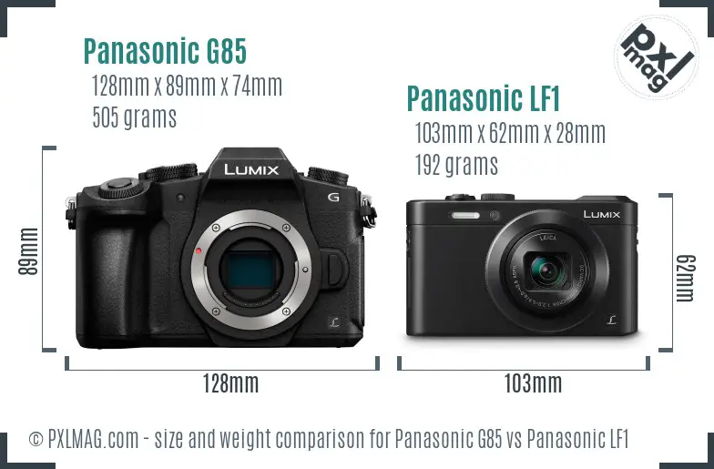 Panasonic G85 vs Panasonic LF1 size comparison