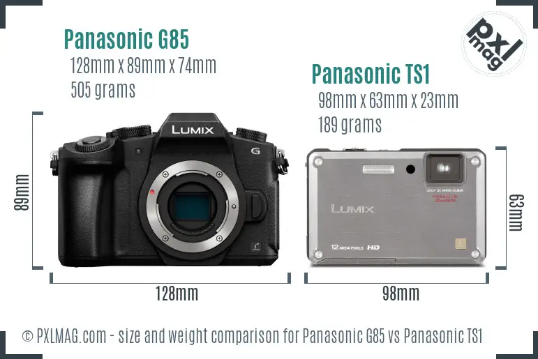 Panasonic G85 vs Panasonic TS1 size comparison