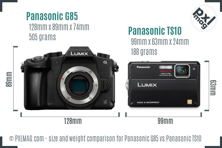 Panasonic G85 vs Panasonic TS10 size comparison