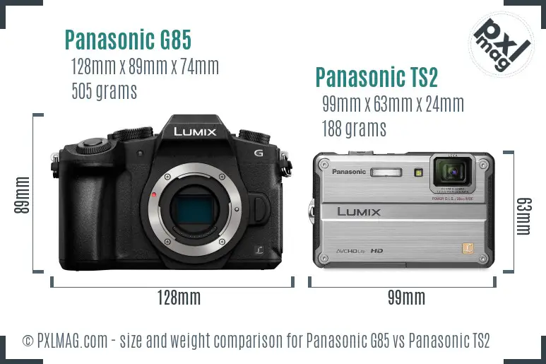 Panasonic G85 vs Panasonic TS2 size comparison