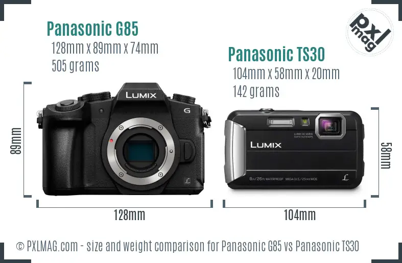Panasonic G85 vs Panasonic TS30 size comparison