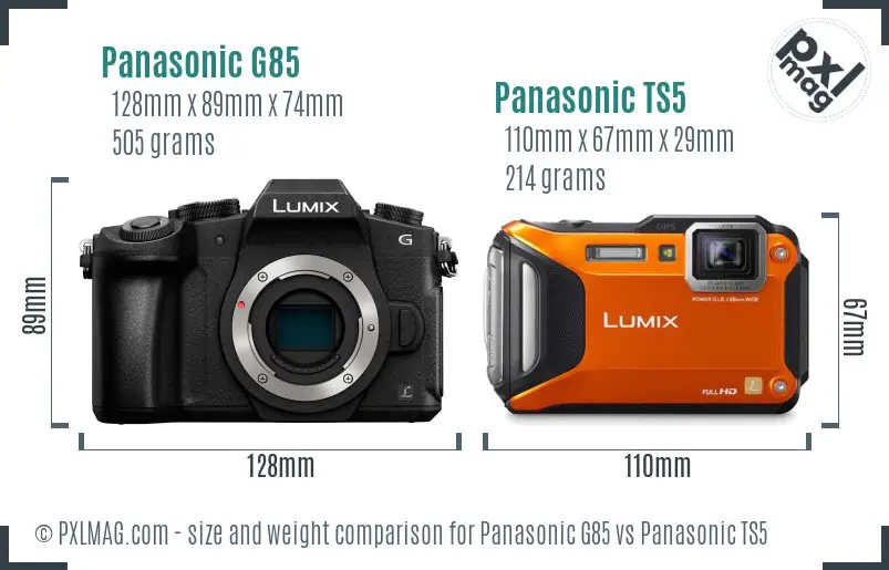 Panasonic G85 vs Panasonic TS5 size comparison