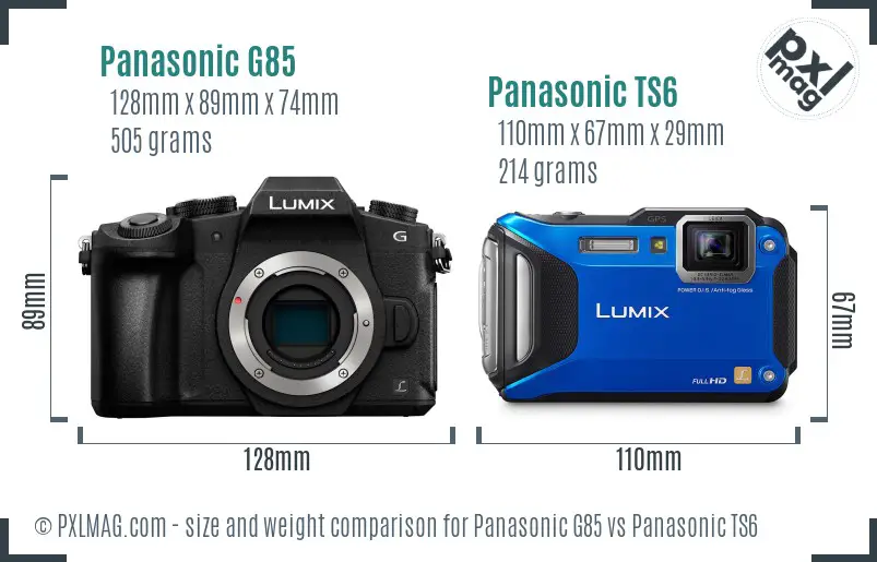 Panasonic G85 vs Panasonic TS6 size comparison