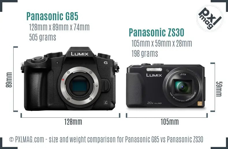 Panasonic G85 vs Panasonic ZS30 size comparison