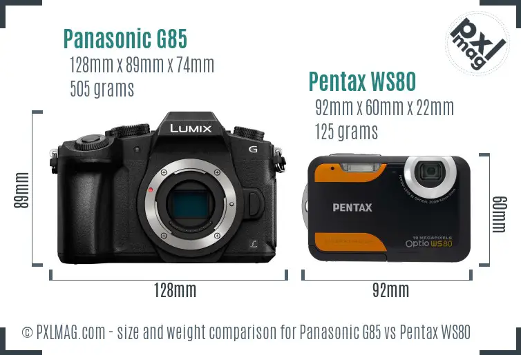 Panasonic G85 vs Pentax WS80 size comparison