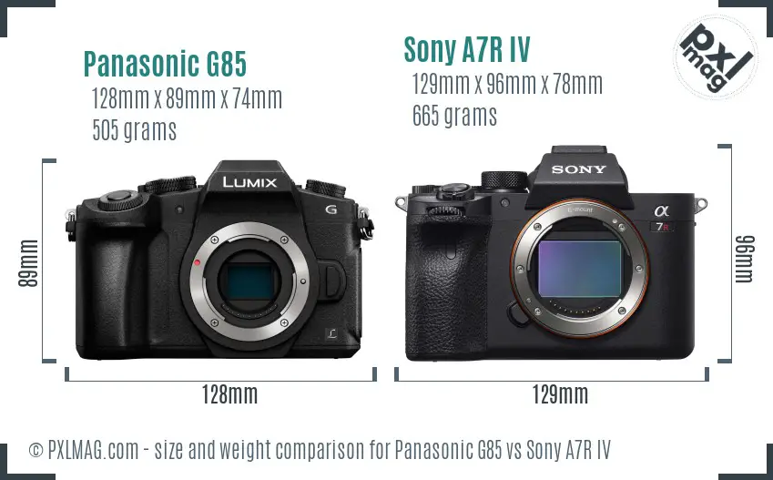 Panasonic G85 vs Sony A7R IV size comparison