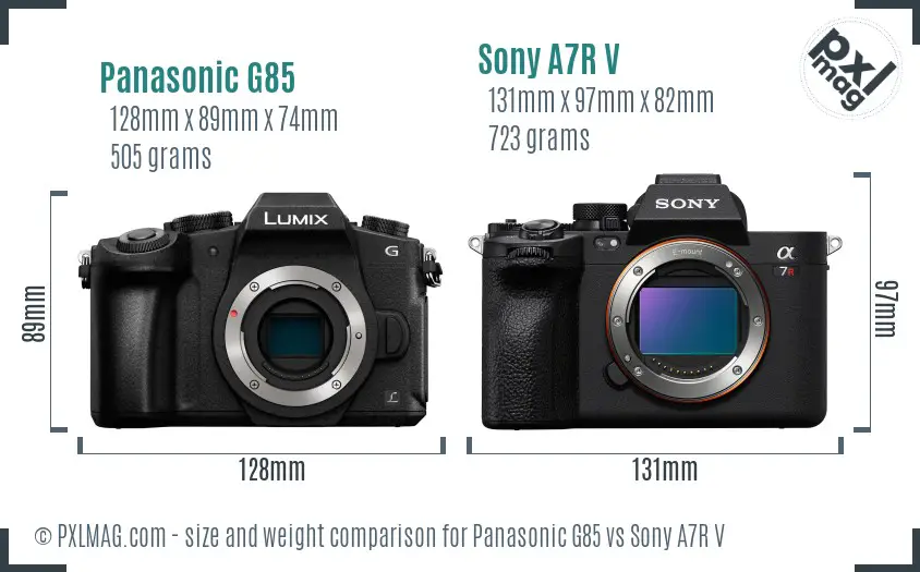 Panasonic G85 vs Sony A7R V size comparison