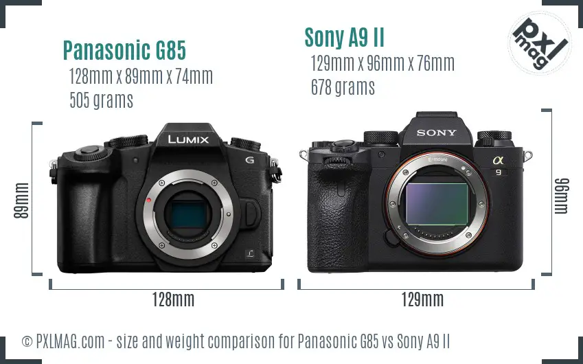 Panasonic G85 vs Sony A9 II size comparison