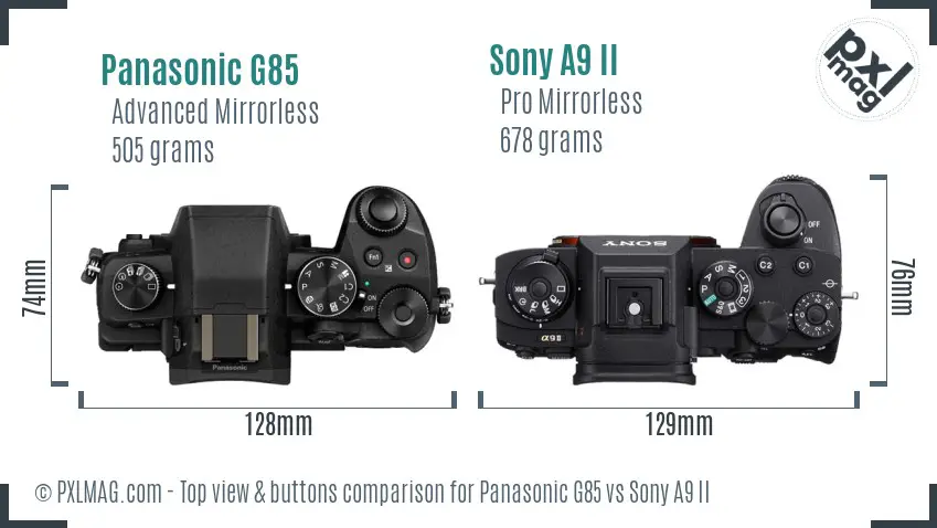 Panasonic G85 vs Sony A9 II top view buttons comparison