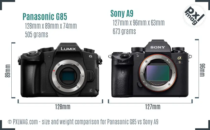 Panasonic G85 vs Sony A9 size comparison