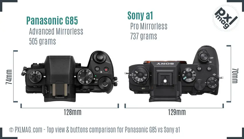 Panasonic G85 vs Sony a1 top view buttons comparison