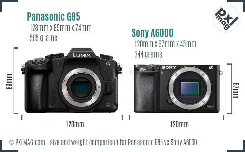 Panasonic G85 vs Sony A6000 size comparison