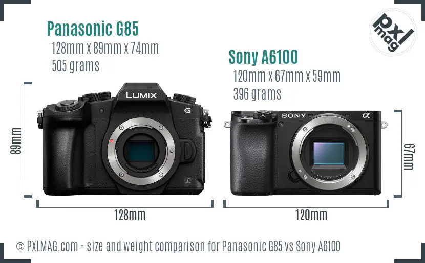 Panasonic G85 vs Sony A6100 size comparison