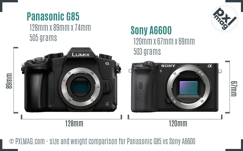 Panasonic G85 vs Sony A6600 size comparison