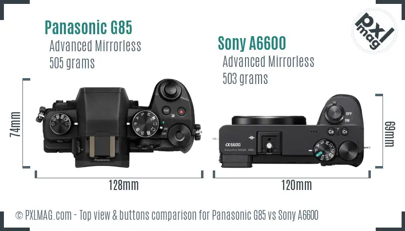 Panasonic G85 vs Sony A6600 top view buttons comparison