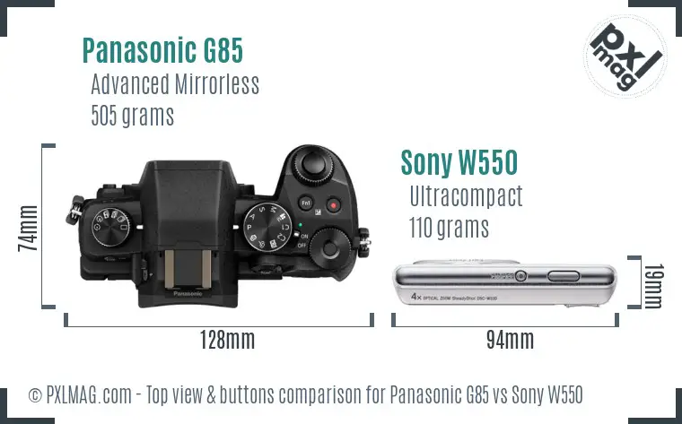 Panasonic G85 vs Sony W550 top view buttons comparison