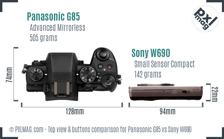 Panasonic G85 vs Sony W690 top view buttons comparison
