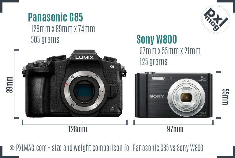 Panasonic G85 vs Sony W800 size comparison