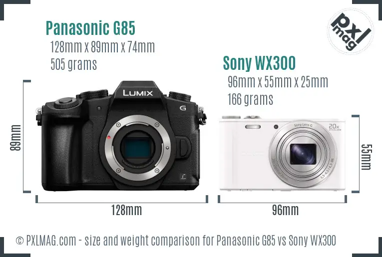 Panasonic G85 vs Sony WX300 size comparison Panasonic G85 vs Sony WX300 size comparison