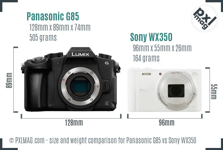 Panasonic G85 vs Sony WX350 size comparison