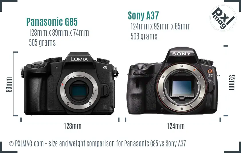 Panasonic G85 vs Sony A37 size comparison