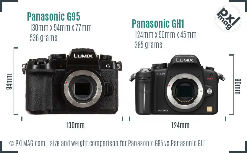 Panasonic G95 vs Panasonic GH1 size comparison