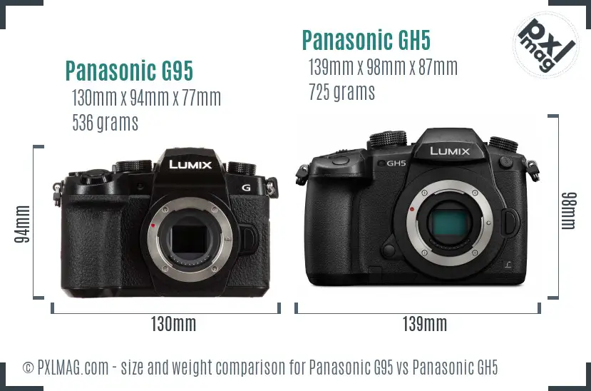 Panasonic G95 vs Panasonic GH5 size comparison