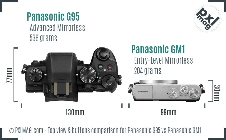Panasonic G95 vs Panasonic GM1 top view buttons comparison