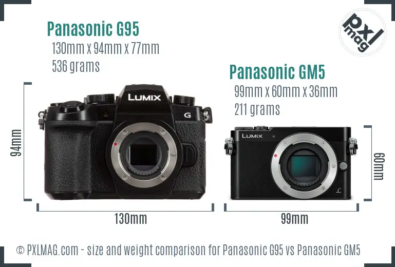 Panasonic G95 vs Panasonic GM5 size comparison