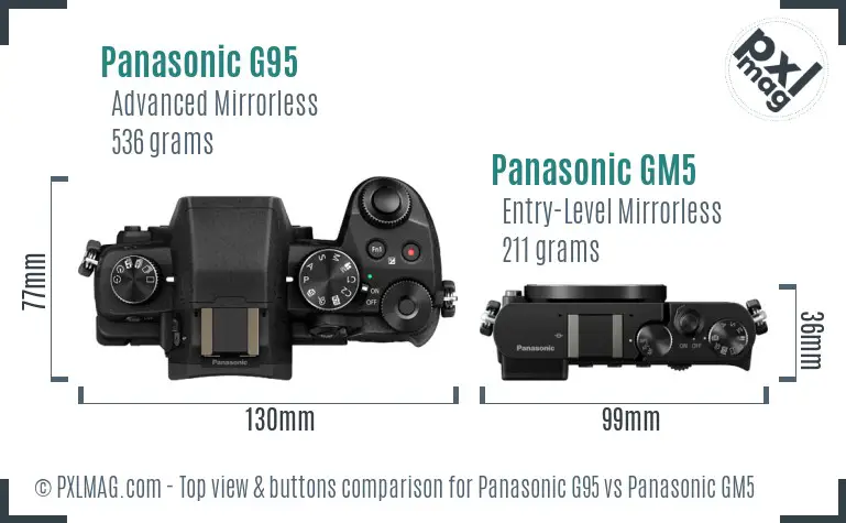 Panasonic G95 vs Panasonic GM5 top view buttons comparison