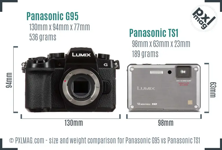 Panasonic G95 vs Panasonic TS1 size comparison