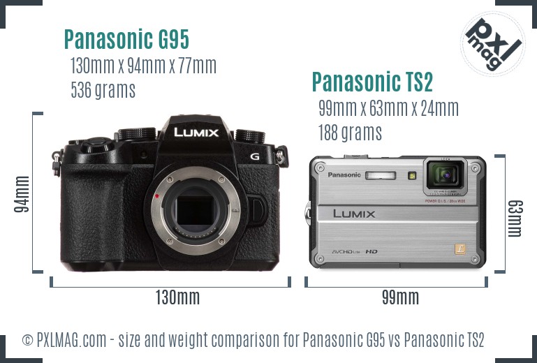 Panasonic G95 vs Panasonic TS2 size comparison