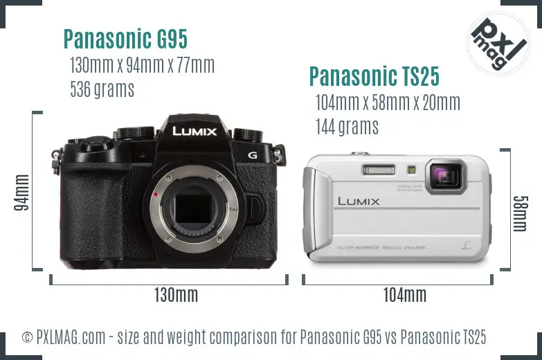 Panasonic G95 vs Panasonic TS25 size comparison