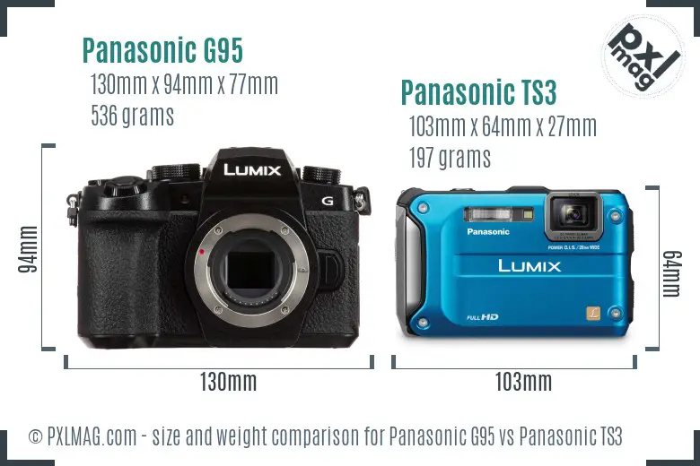 Panasonic G95 vs Panasonic TS3 size comparison