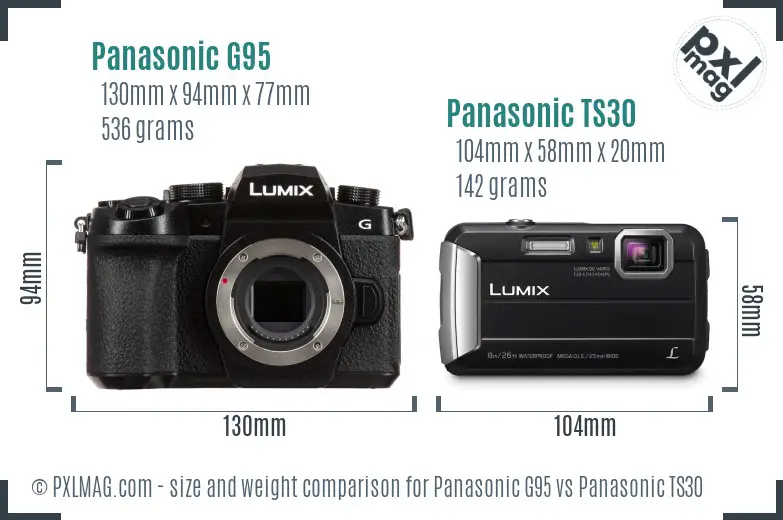 Panasonic G95 vs Panasonic TS30 size comparison