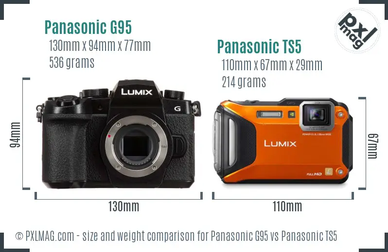 Panasonic G95 vs Panasonic TS5 size comparison