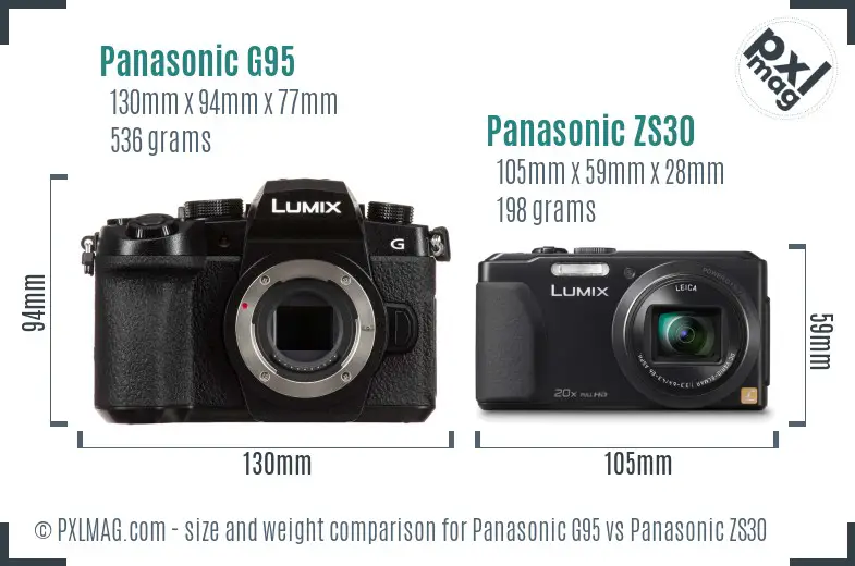 Panasonic G95 vs Panasonic ZS30 size comparison