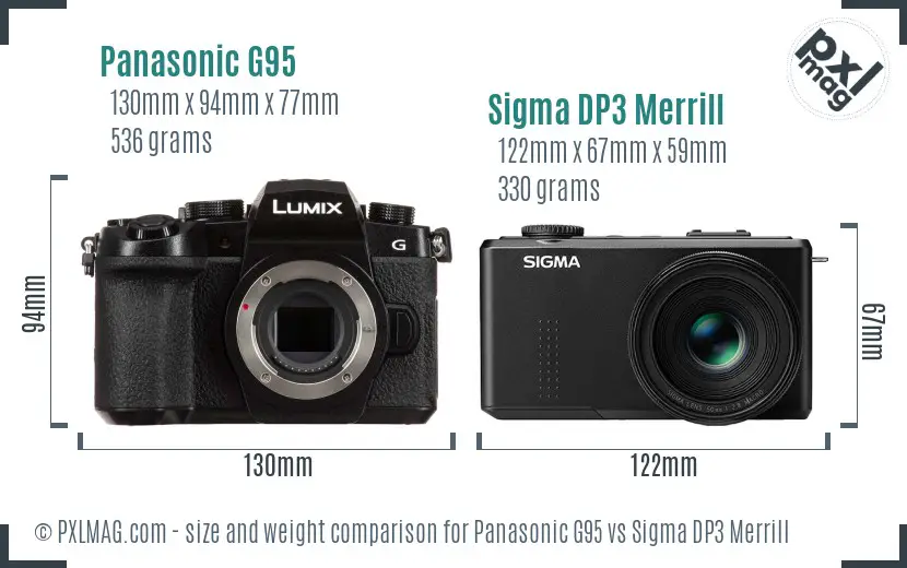 Panasonic G95 vs Sigma DP3 Merrill size comparison