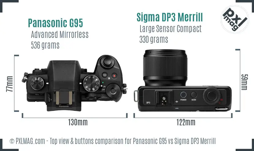 Panasonic G95 vs Sigma DP3 Merrill top view buttons comparison