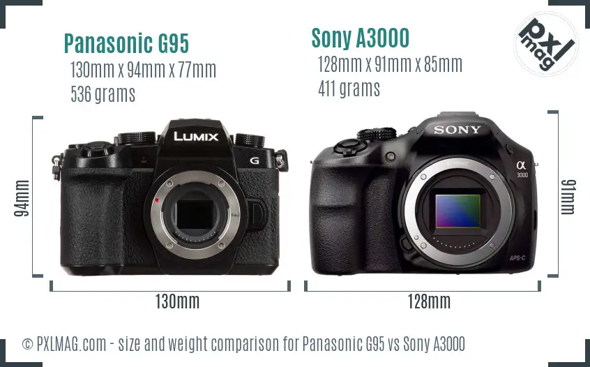 Panasonic G95 vs Sony A3000 size comparison