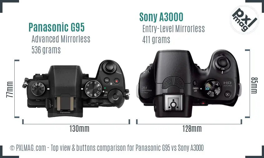 Panasonic G95 vs Sony A3000 top view buttons comparison