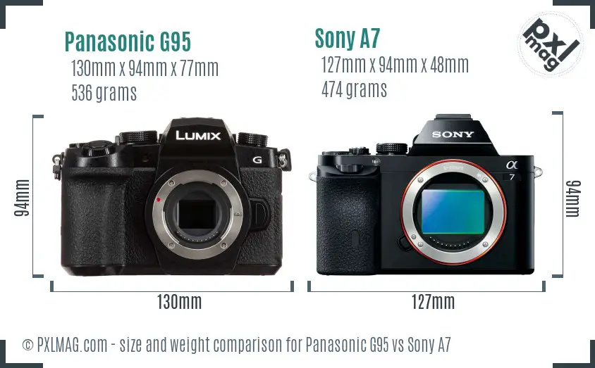 Panasonic G95 vs Sony A7 size comparison