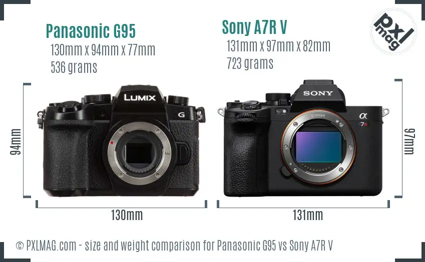 Panasonic G95 vs Sony A7R V size comparison