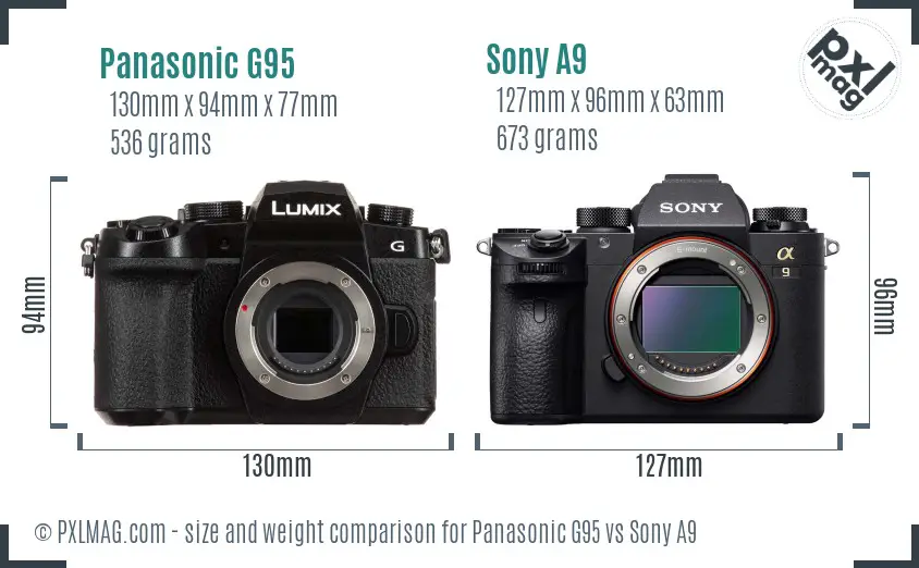 Panasonic G95 vs Sony A9 size comparison
