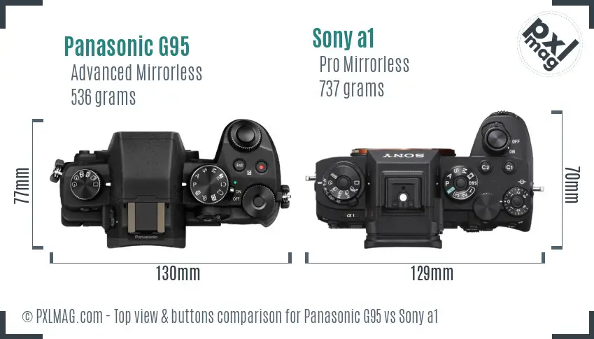 Panasonic G95 vs Sony a1 top view buttons comparison